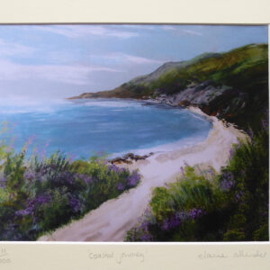 Coastal Journey